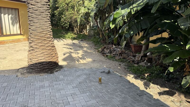 Herringbone paving field advancing across the courtyard past the palm